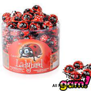 GOLO BOMBOM CHOCOLATE LADY BIRD X 100 UNIDADES (de 8grms c/u)